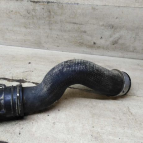 patrubok-interkulera-bzb-art-110522-big-7