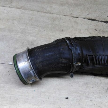 patrubok-interkulera-bzb-art-110522-big-9