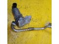 klapan-egr-seat-cordoba-art-14840-small-2