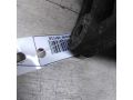 generator-lada-largus-renault-logan-i-art-76254-small-8