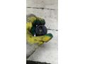 datcik-xolostogo-xoda-20-gg-volkswagen-passat-b4-volkswagen-passat-b3-art-101155-small-3