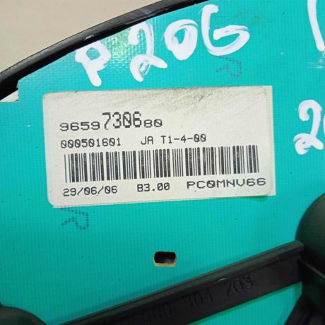 panel-priborov-shhitok-peugeot-206-art-63329-big-3